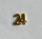 Lapel Pin 24 Gold