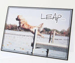 DL27 - Leap Greeting Card
