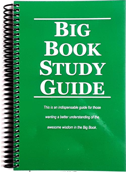 Big Book Study Guide