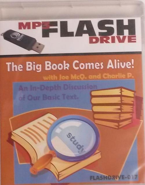 Big Book Comes Alive Flashdrive